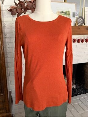 a new day Long Sleeve Crewneck Top - Brick Orange